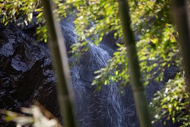 一起庆祝《胡闹厨房》五周年 《胡闹厨房：全都好吃》免费生日更新上线
