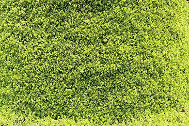 柏青哥式的肉鸽塔防游戏《地狱弹珠》steam页面 明年发售